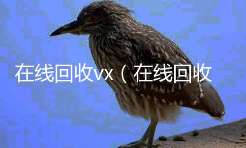 在线回收v24小时在线回收vxx（在线回收号价格）